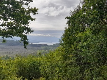 Parcela en venta en Villarrica, Villarrica