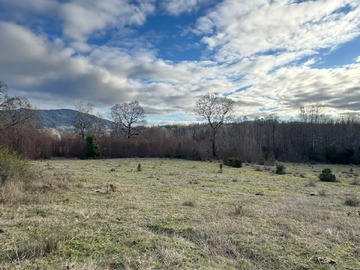 Parcela en venta en Villarrica, Villarrica