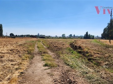 Terreno Agricola en venta en Ruta 5 sur, Curicó