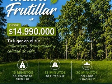 Parcela en venta en v-26, Frutillar