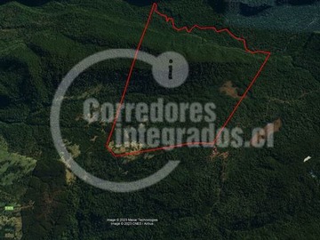 Terreno Agricola en venta en Rucatayo Alto al norte del lago Puyehue, Río Bueno
