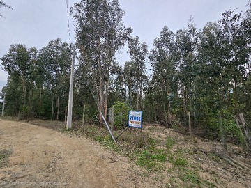Parcela en venta en Se Vende Parcela en Constitución