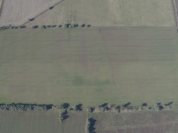 Terreno Agricola en venta en San Luis de Alico, San Clemente