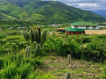 Venta / Parcela / La Serena