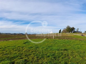 Venta / Parcela / Llanquihue