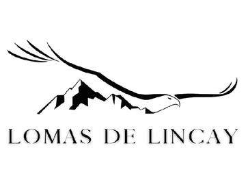 Parcela en venta en Isla lemuy, lincay, chiloe, Puqueldón