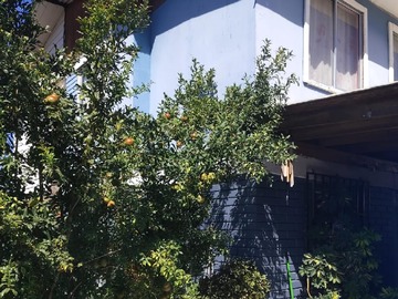Casa en venta en Rosario, Rengo - 4 dormitorios, 2 baños