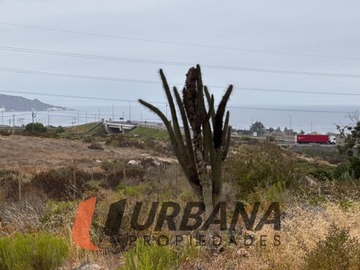 Sitio en venta en Lomas de guanaqueros sitio 5000m2 (53), Coquimbo