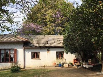 Terreno Agricola en venta en Venta Fundo 17, 1 Hás Nueva Aldea, Itata, Ranquil