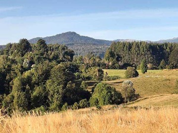 Venta / Terreno / Río Bueno