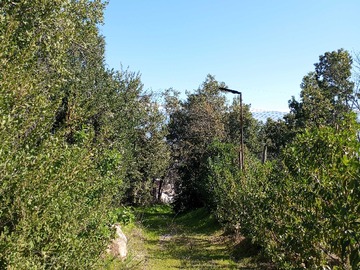 Venta / Terreno / Paine