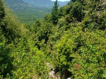 Parcela en venta en 15 km de pucón - 20 minutos de pucón, Pucón