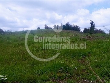 Terreno Agricola en venta en Coipomó, Ancud