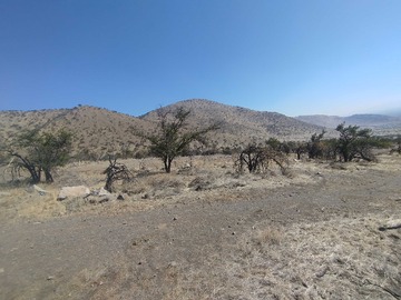 Venta / Terreno / Colina