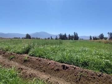 Venta / Terreno / María Pinto