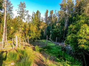 Terreno en venta en Queilen, 2,8 Ha, Apeche Bajo (121069), Queilén