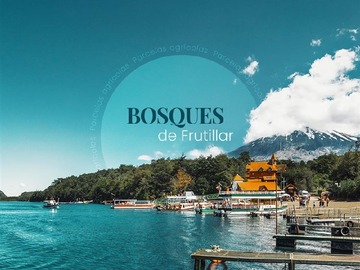 Parcela en venta en Frutillar, Frutillar