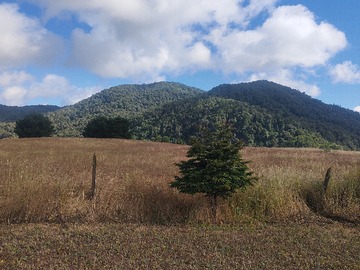 Parcela en venta en Liucura, Lonquimay