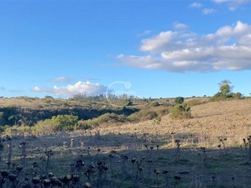 Terreno Agricola en venta en Santo domingo - el yali, Santo Domingo