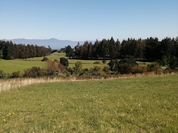 Terreno Agricola en venta en Se vende hermosa parcela en futrono, Futrono