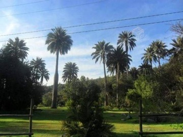 Parcela en venta en Parque Nacional La Campana, Hijuelas