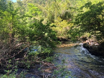 Parcela en venta en coilaco, Pucón