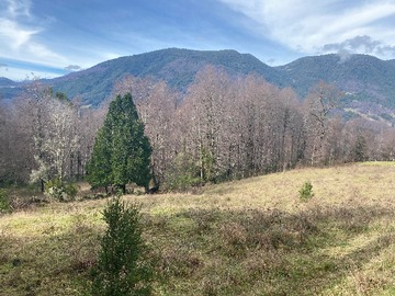 Terreno en venta en Oportunidad Últimas Parcelas en la Barda, Pucón Desde 37.900.000
