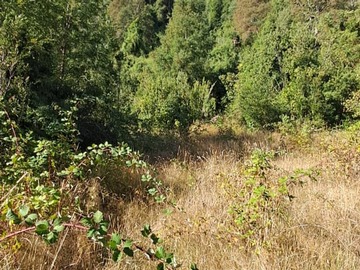 Venta / Parcela / Villarrica