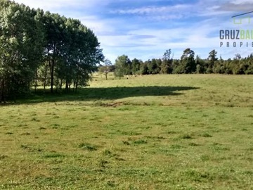 Terreno Agricola en venta en Camino a Río Frío, 110 Hectáreas, Puerto Varas