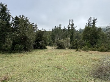 Terreno Agricola en venta en Loncoche, Loncoche
