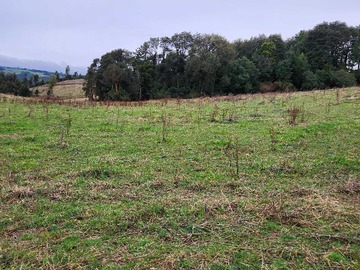 Terreno en venta en Parcela con Potencial para Casa de Campo (135421), Los Muermos