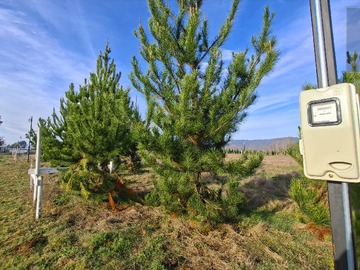 Terreno en venta en Sitios planos , en santa juana . (178577), Santa Juana
