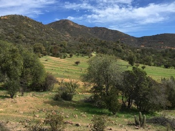Parcela en venta en Quilpué, Quilpué - 3 dormitorios, 2 baños