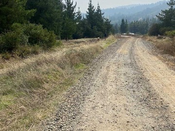 Terreno en venta en Oportunidad Única de Inversión en Parcela (158753), Curicó