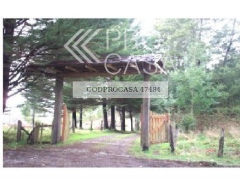 Parcela en venta en Ruta 5 Sur - Mirador Río San Pedro, Los Lagos