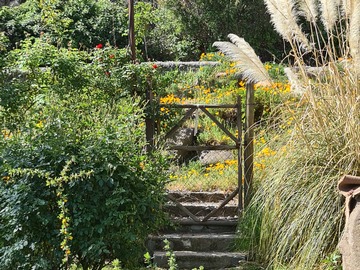 Casa en venta en El Alamo Central, Machalí - 4 dormitorios, 3 baños