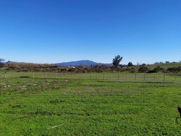 Venta / Parcela / Bulnes