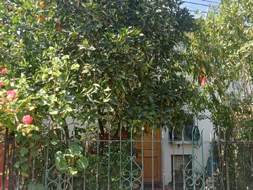 Casa en venta en Vendo Casa de 2 Pisos en Pasaje Cerrado - 4 dormitorios, 1 baño