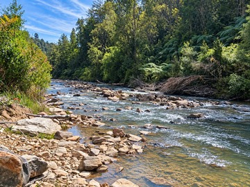 Terreno en venta en Parcela con río y bosque nativo (180683), Los Muermos
