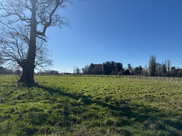 Terreno en venta en Ideal para Proyecto Familiar en Expansión (179550), Osorno