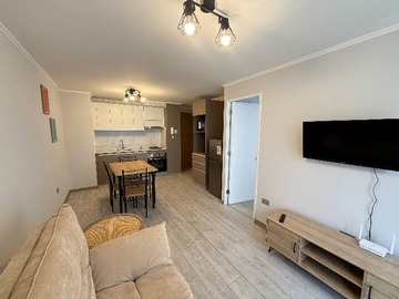 Departamento en arriendo mensual en Arriendo depto full amoblado (169859), Santiago - 1 dormitorio, 1 baño