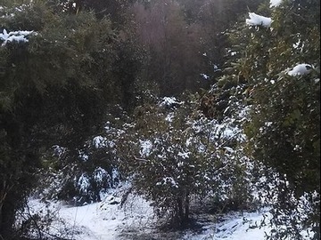 Terreno Agricola en venta en La Puntilla de San Juan / Coihueco, Coihueco