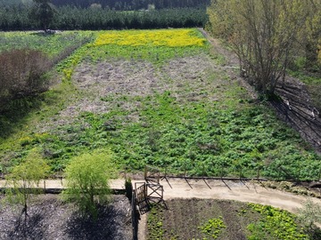 Terreno en venta en Maromillas, Constitución