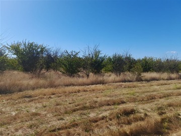 Venta / Parcela / Talca