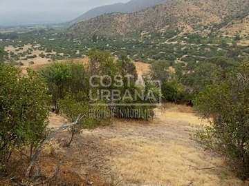 Terreno en venta en Avenida Miraflores, Curacaví