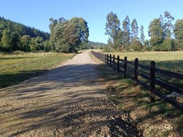 Parcela en venta en villarrica, Loncoche