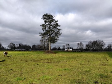 Terreno Agricola en venta en Los Esteros, La Unión