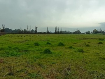 Parcela en venta en Palma rosa, Parral