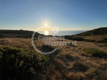 Sitio en venta en Pichilemu / Fundo Tanumé, Pichilemu