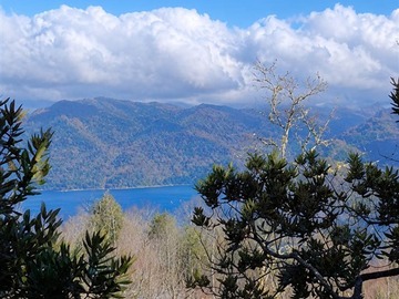 Terreno Agricola en venta en Fundo maihue, Futrono
